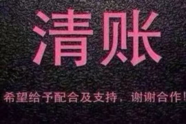 珠晖贷款清欠服务